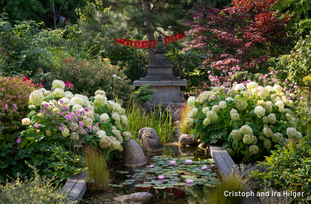 Hilger_2025-08-15_09-36-39_D50_2706 copy