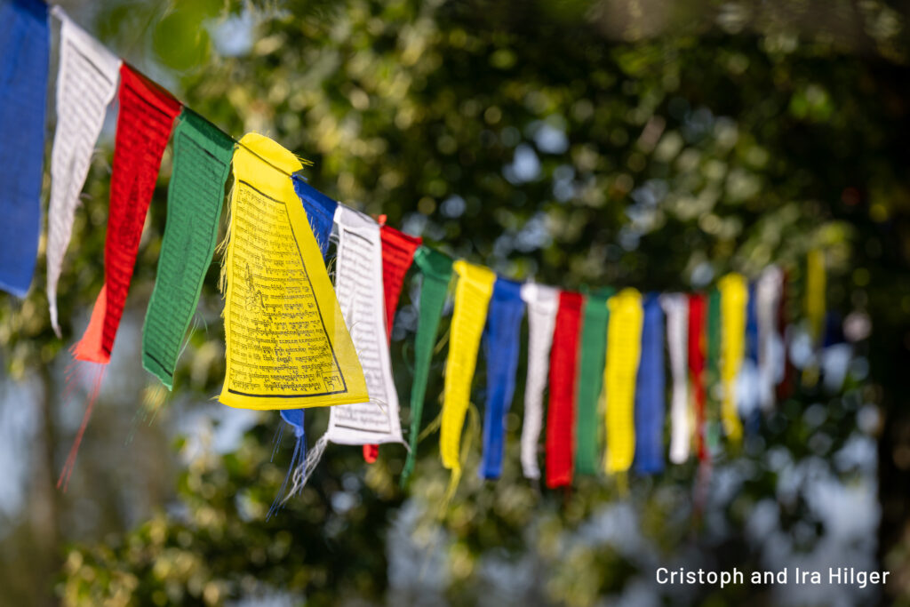 Hilger_2025-08-15_17-22-52_Z9A_1042 copy